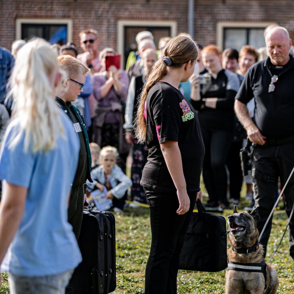 Bajesdag,Evenement,Dagje uit,Museum,Bajesdag 2026