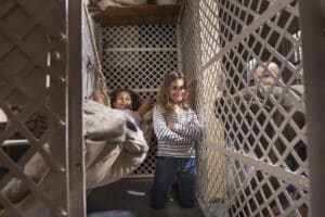 290917teamhorsthuis_JHO5252 copy